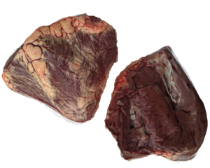 OXHJERTER1 oxHjerter