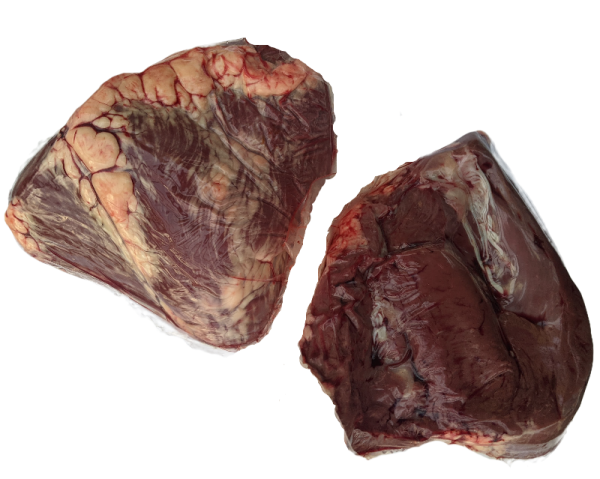 oxHjerter