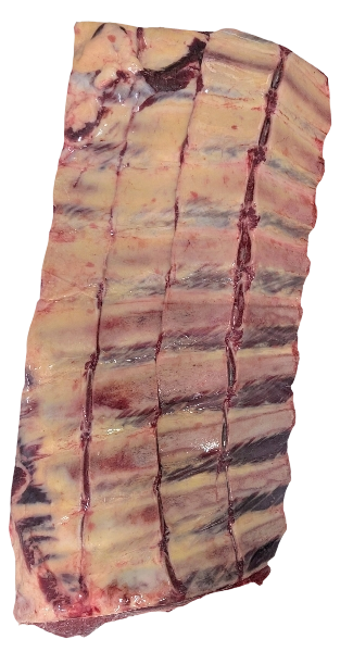 💪 SUPER RIBS 👌