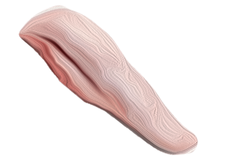 oxTunge