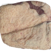 Ribeye Cap