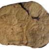 Ribeye Cap