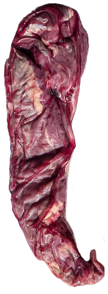 indrefilet4 Storfe Indrefilet 0,5/1,0 KG